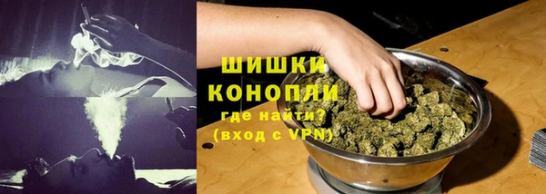гидра Коряжма