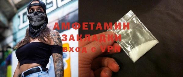 гидра Коряжма