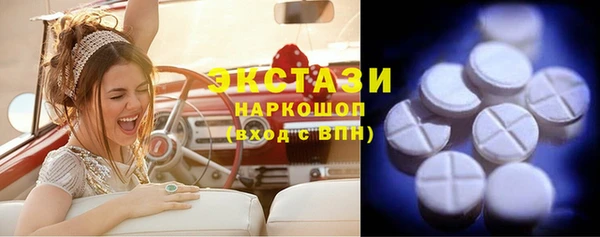 гидра Коряжма