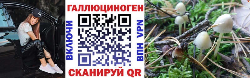 кракен зеркало  Славск  Псилоцибиновые грибы Psilocybine cubensis 